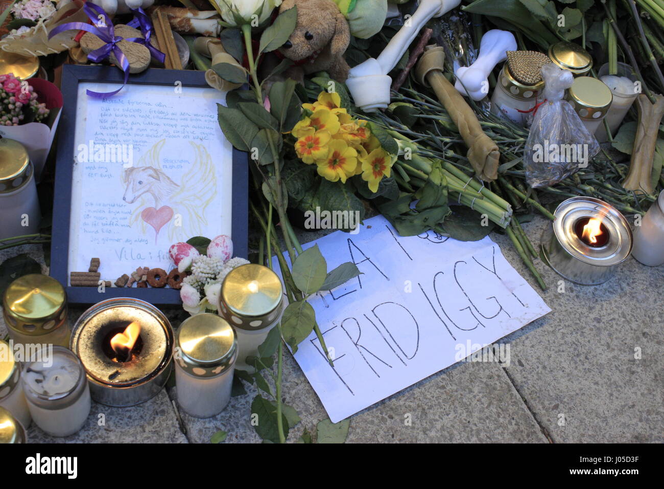 Stockholm, Sweden. 10th April, 2017. Flowers and phrases dedicated to the memory of Iggy the dog, which lost its life which was hit in Drottninggatan street by the terrorist truck attacker in Stockholm city. Sweden 10 April 2017. Credit: BasilT/Alamy Live News Stock Photo
