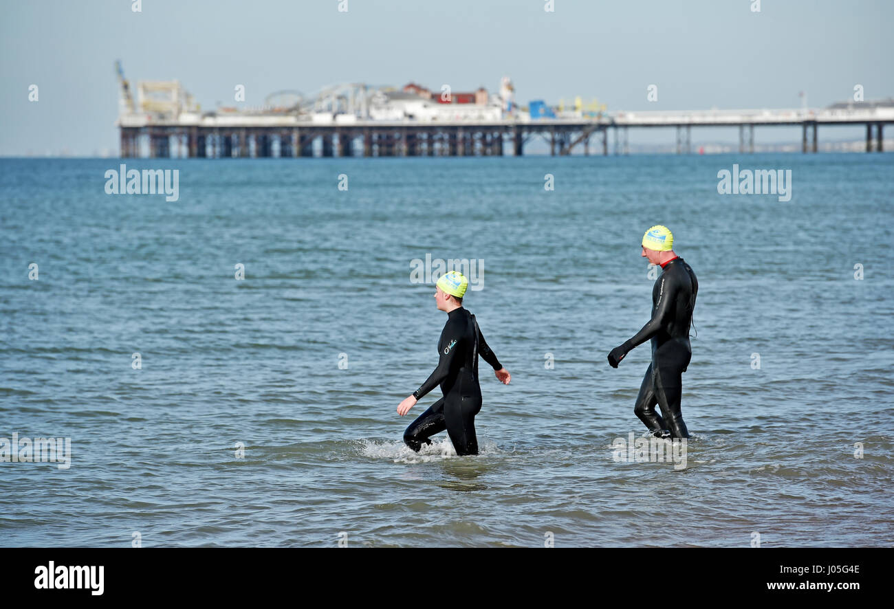 Brighton, UK. 11th Apr, 2017. Swimmers training for their lifeguard ...