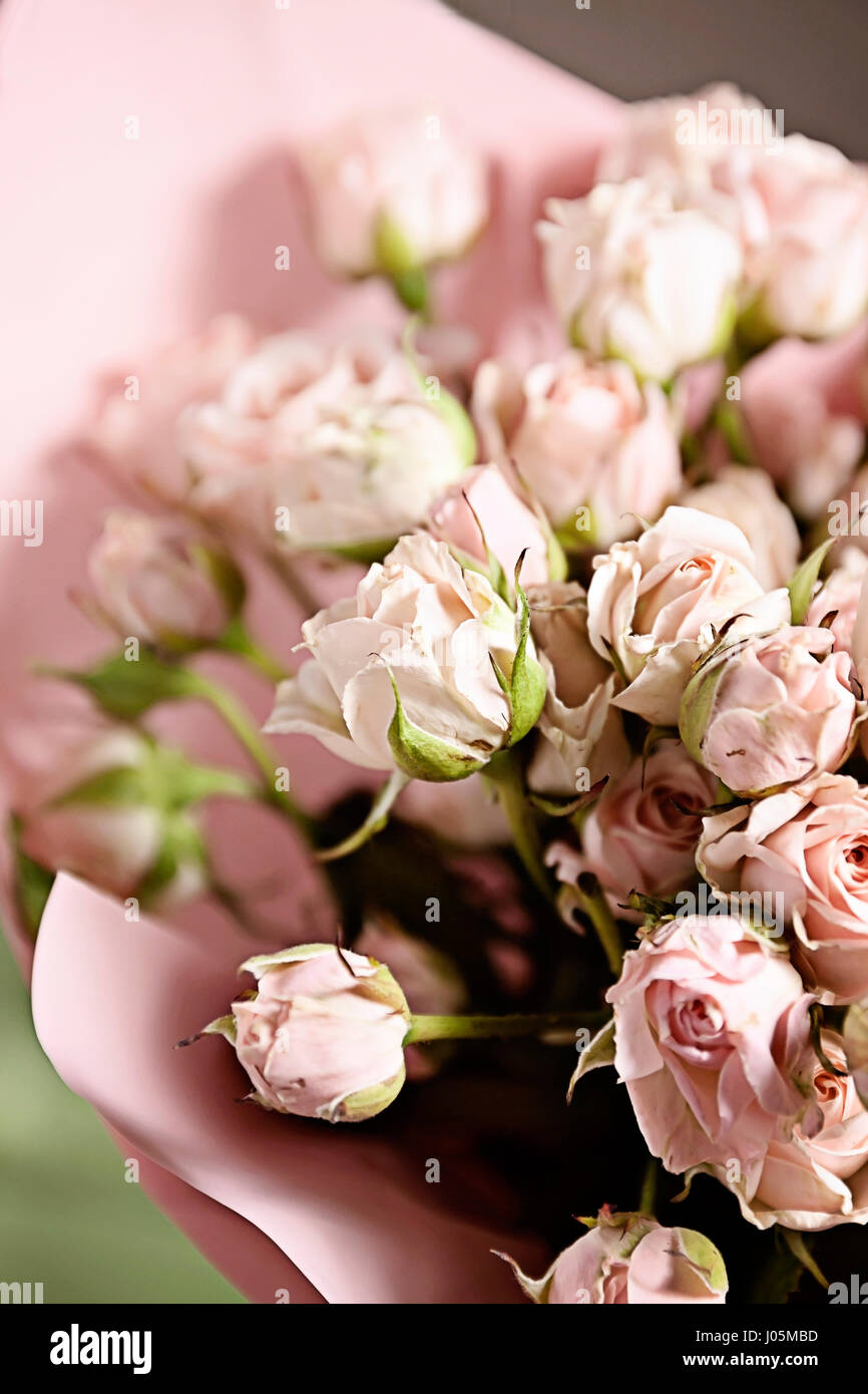 background of the many delicate little pink roses Stock Photo - Alamy