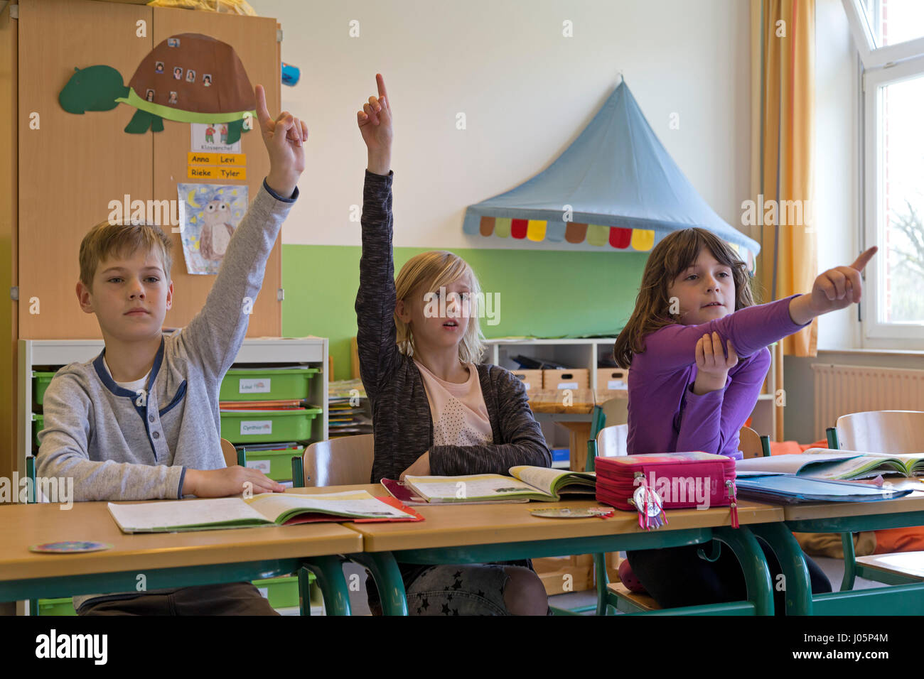 pupils at primary school raising their hands, Lower Saxony, Germany Stock Photo