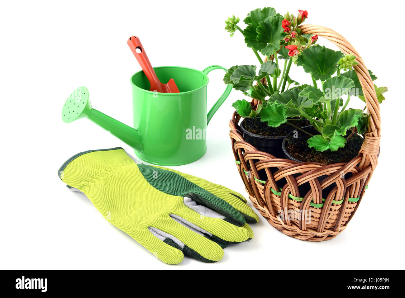 Geranium flowerpot in a basket with gardening tools like gloves, shovel, water can. isolated  background Stock Photo