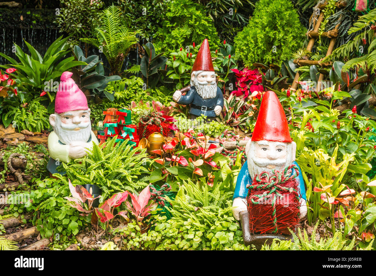 Garden gnome surrounded by plants and trees Stock Photo