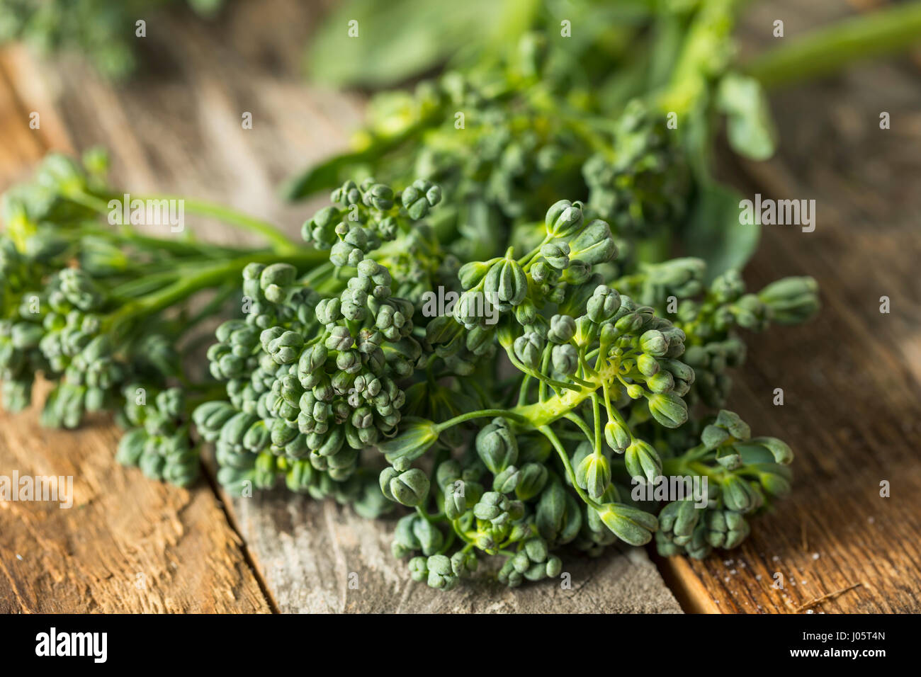 Raw Green Organic Broccolini REady to Cook With Stock Photo