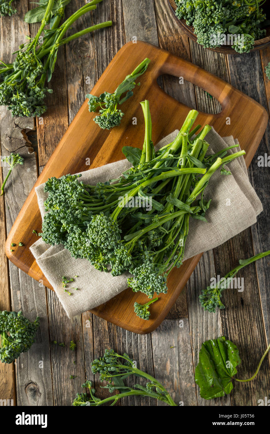 Raw Green Organic Broccolini REady to Cook With Stock Photo