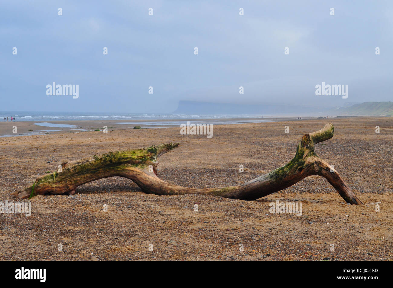 Marske by the sea hires stock photography and images Alamy