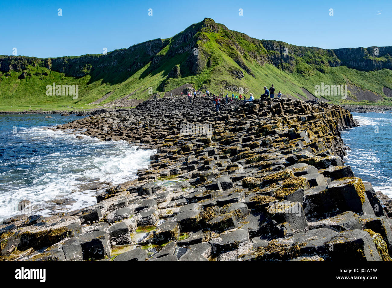 Aird Snout and the Grand Causeway of the Giant's Causeway, Causeway Coast, County Antrim, Northern Ireland, UK Stock Photo