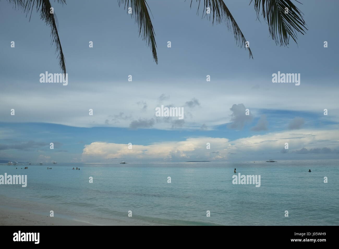 Beachview with palms in Bohol, Philippines Stock Photo