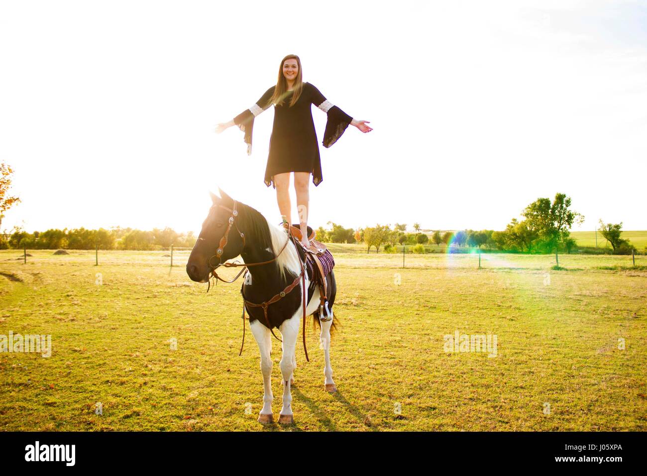 sunshine, girl standing on back of horse Stock Photo Alamy