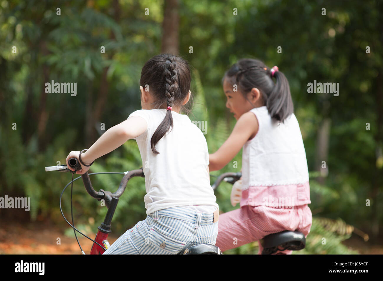 Rear view of active Asian family at nature park. Children cycling ...