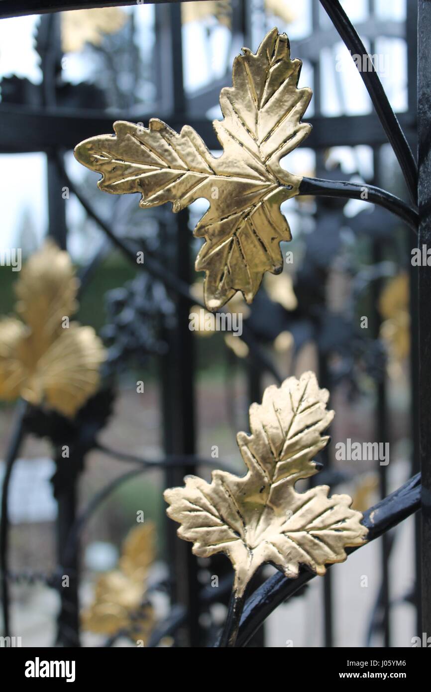Iron and Gold Leaf Detailed Gate Stock Photo