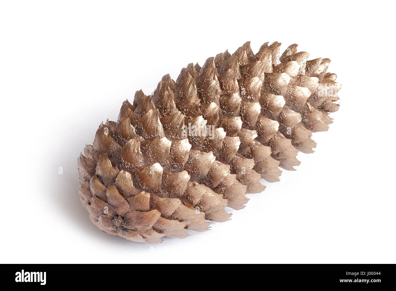 Golden fir cone isolated on white Stock Photo Alamy