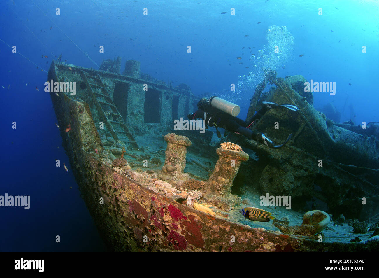 A diver swims around the wreck of SS Thistlegorm. EERIE underwater pictures show inside the wreckage of the sunken British World War Two ship SS Thistlegorm on the seventy-fifth anniversary of her sinking. The series of images show the rusted remains of the merchant navy ship’s cargo which includes motorbikes, army trucks and an aircraft propeller. Other pictures show how sea life have been inhabiting the wreckage. Stock Photo