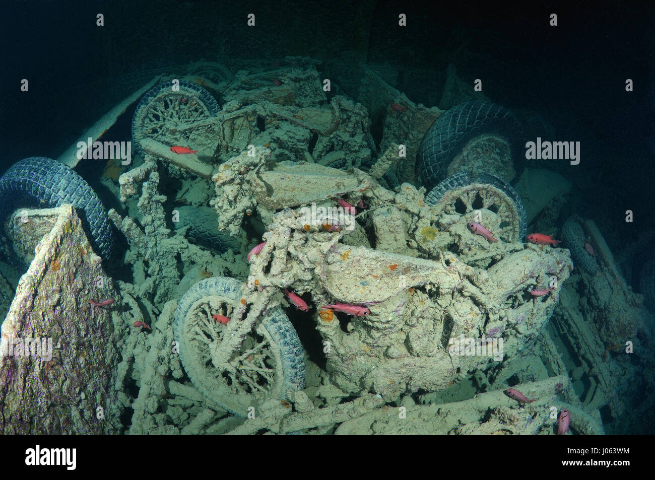Some of the many motorcycles that were sunken with the ship. EERIE underwater pictures show inside the wreckage of the sunken British World War Two ship SS Thistlegorm on the seventy-fifth anniversary of her sinking. The series of images show the rusted remains of the merchant navy ship’s cargo which includes motorbikes, army trucks and an aircraft propeller. Other pictures show how sea life have been inhabiting the wreckage. Stock Photo