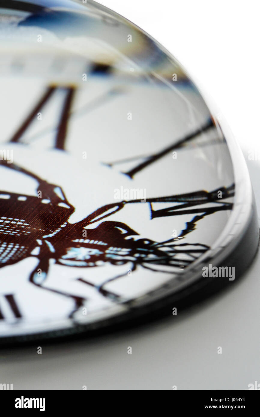 Desk art. Closeup image of a clear glass paperweight showing a black and white print of a beetle insect with roman numerals in a clock face design. Stock Photo