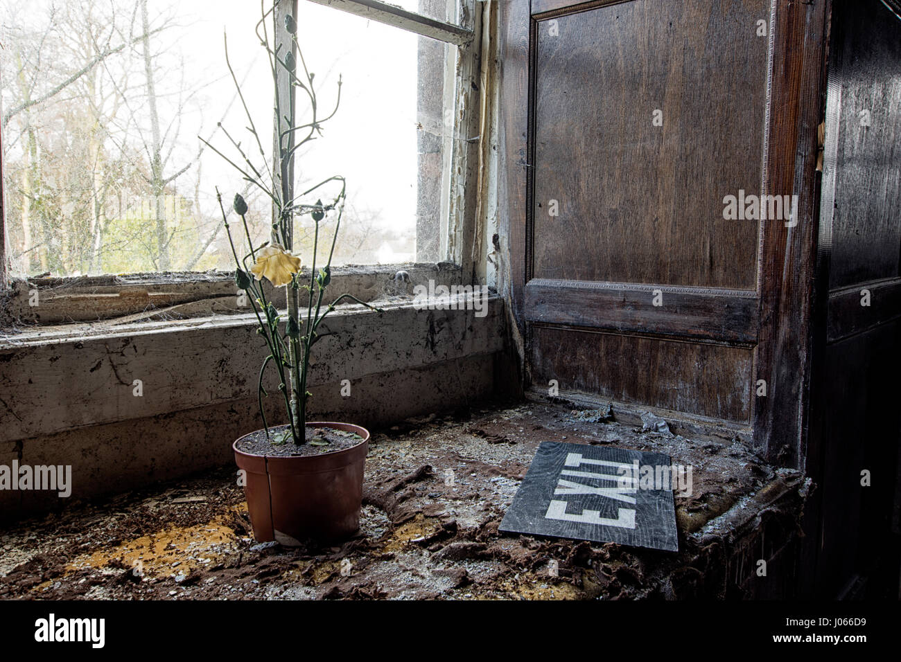 WOOLTON HALL, LIVERPOOL: STUNNING photographs reveals 300-year-old manor house’s doors boarded up and the property abandoned despite it’s role as the HQ of a regiment of D-Day heroes during WW2. Pictures shows a grand manor house windows bricked up and grounds neglected. While some rooms appear to be in good condition, having been only recently abandoned, photos show exposed rotting floorboards, peeling wallpaper and parts of the ceiling falling apart. These haunting images of Woolton Hall in Liverpool were taken by a freelance photographer and urban explorer who wished to remain anonymous. Sh Stock Photo
