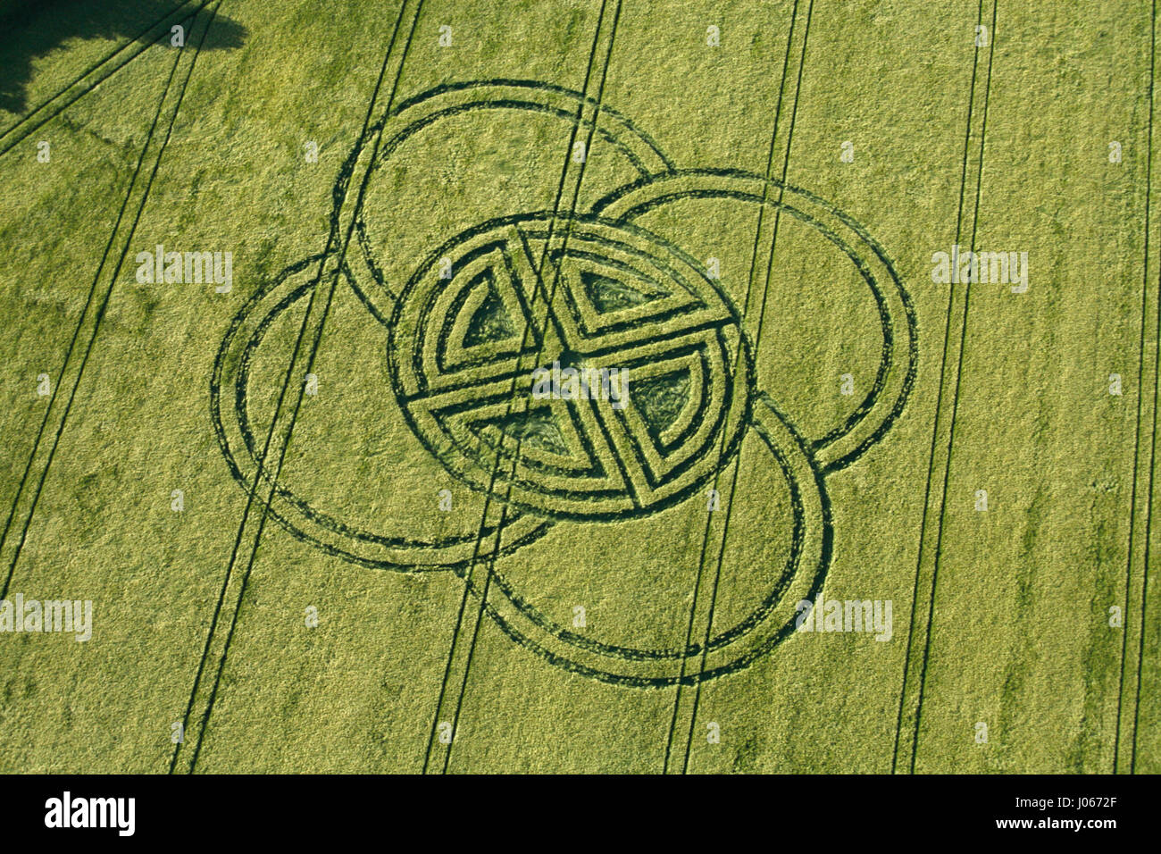 Fox Ground Down, Dorset, UK: A CROP CIRCLE researcher claims the mysterious phenomenon is a temporary relief for Parkinson’s disease sufferers. In a story similar to the Oscar-winning 1985 fantasy film Cocoon, where the elderly have the signs of old age reversed by beings from another world, some British researchers now claim crop circles could have a similar effect in reality. Twenty-five years of study by scientific researcher Lucy Pringle, from Hampshire has revealed the beneficial effects of being inside a crop circle for sufferers of Parkinson’s disease. People suffering from the disease  Stock Photo