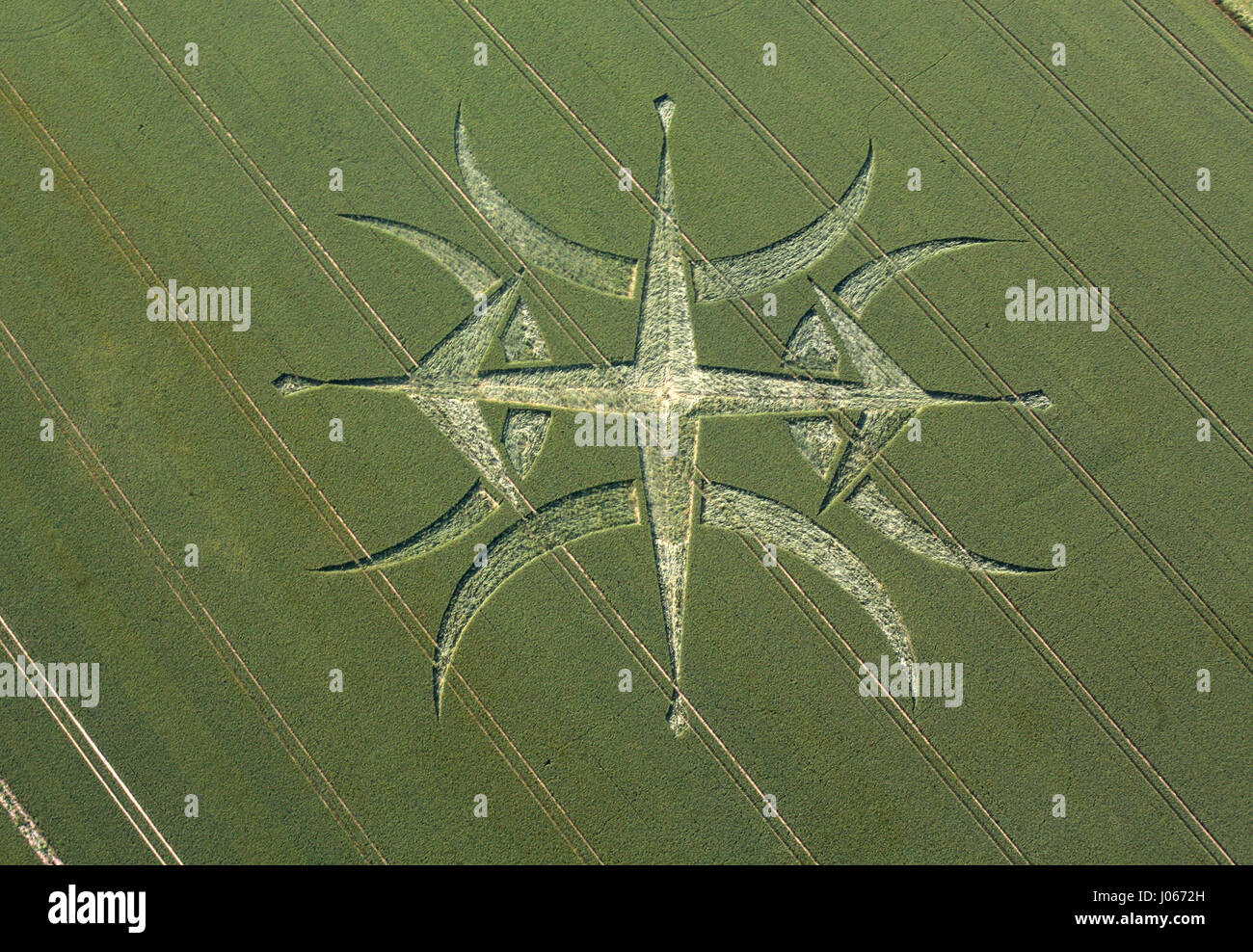 Near Stonehenge, Somerset, UK: A CROP CIRCLE researcher claims the mysterious phenomenon is a temporary relief for Parkinson’s disease sufferers. In a story similar to the Oscar-winning 1985 fantasy film Cocoon, where the elderly have the signs of old age reversed by beings from another world, some British researchers now claim crop circles could have a similar effect in reality. Twenty-five years of study by scientific researcher Lucy Pringle, from Hampshire has revealed the beneficial effects of being inside a crop circle for sufferers of Parkinson’s disease. People suffering from the diseas Stock Photo