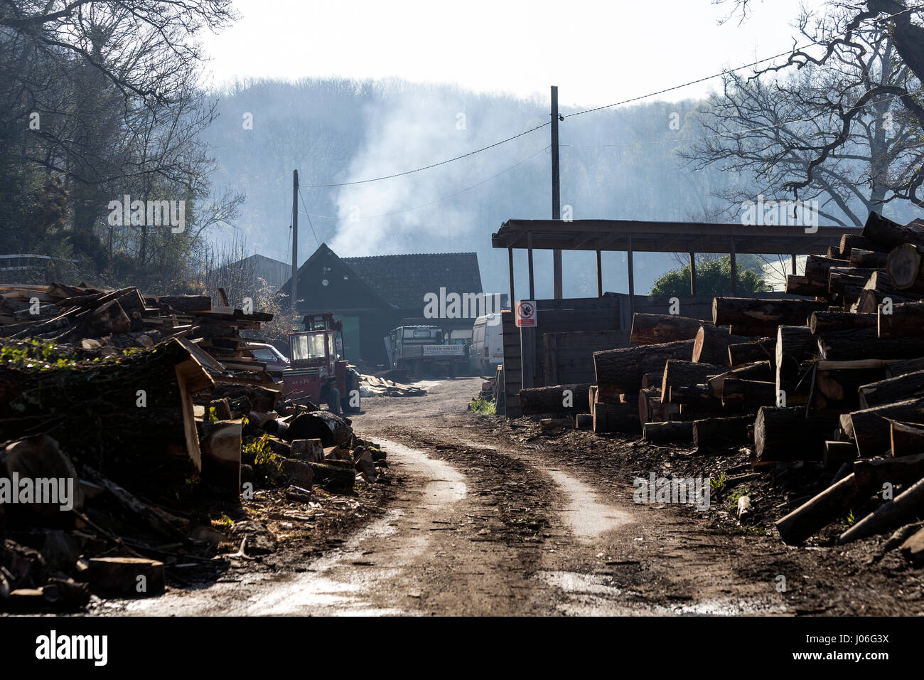 Culver Sawmills near Longdown,Exeter in morning mist Stock Photo Alamy