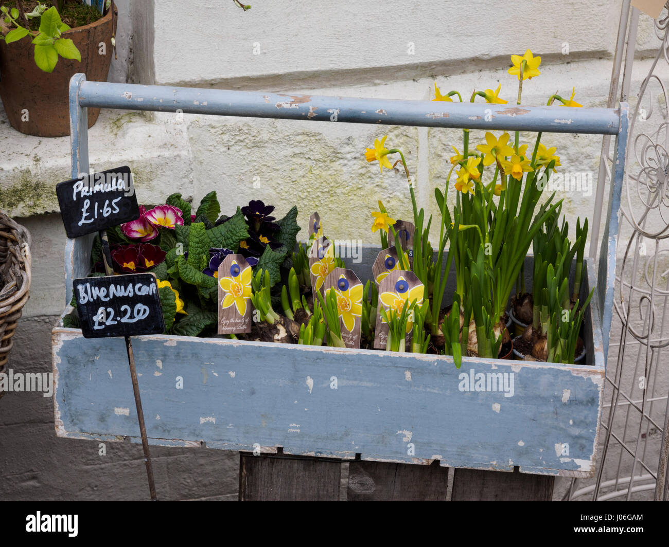 Spring flowers for sale outside of a florists Stock Photo