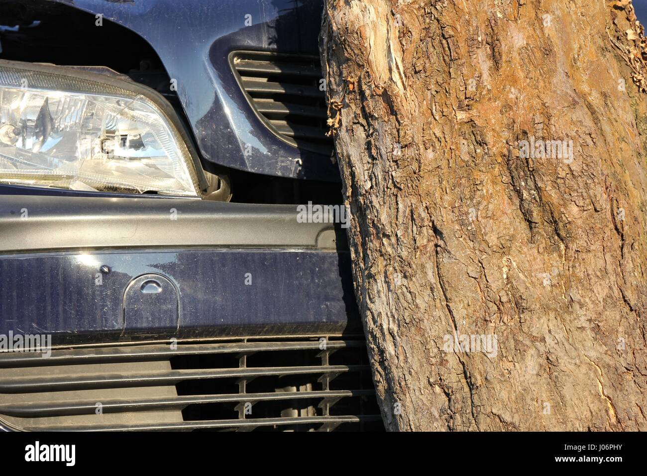 car hit a tree Stock Photo Alamy