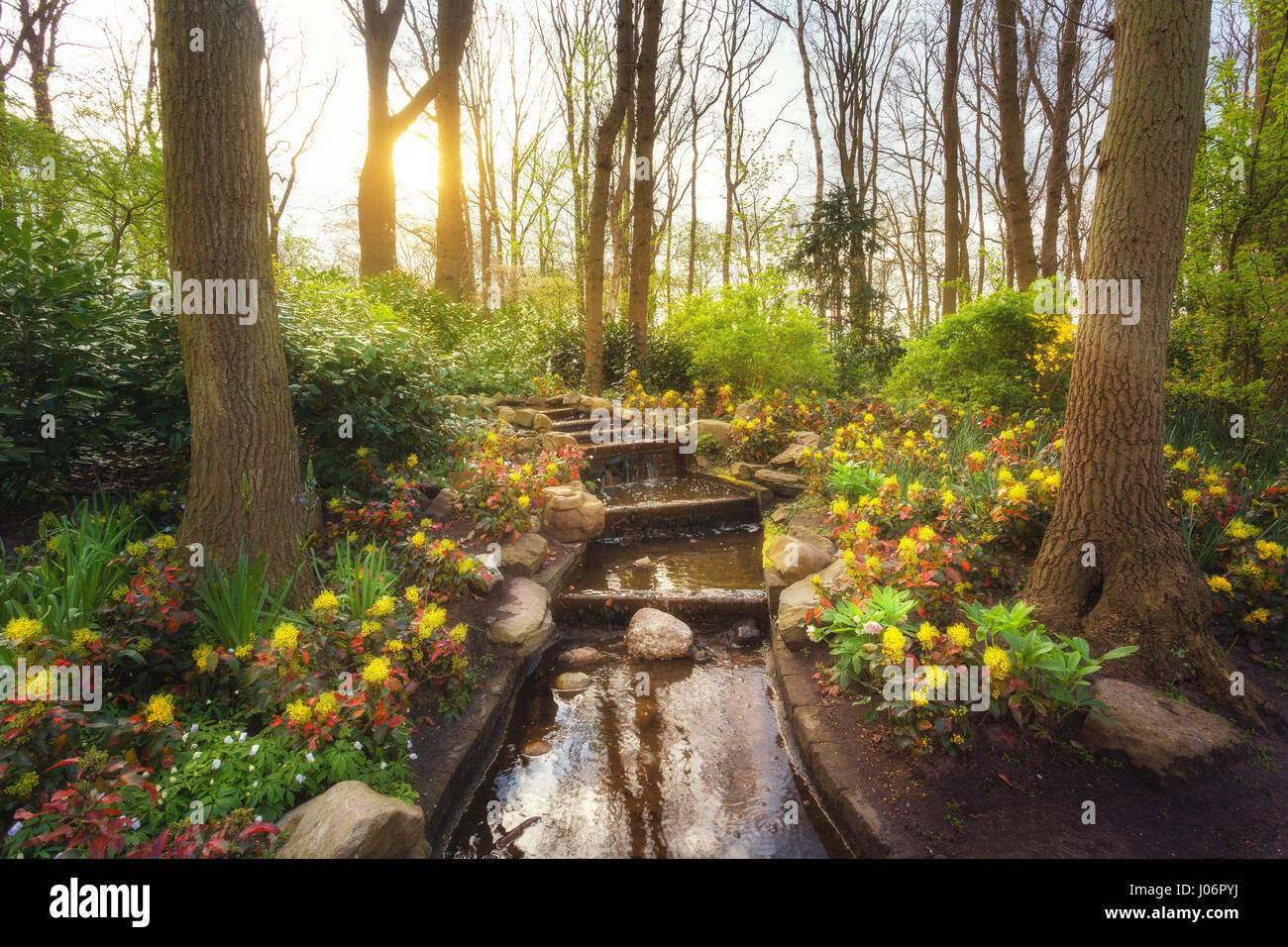 Amazing blooming spring park with water cascade in famous Keukenhof park, Netherlands. Beautiful landscape with colorful flowers, trees with green lea Stock Photo