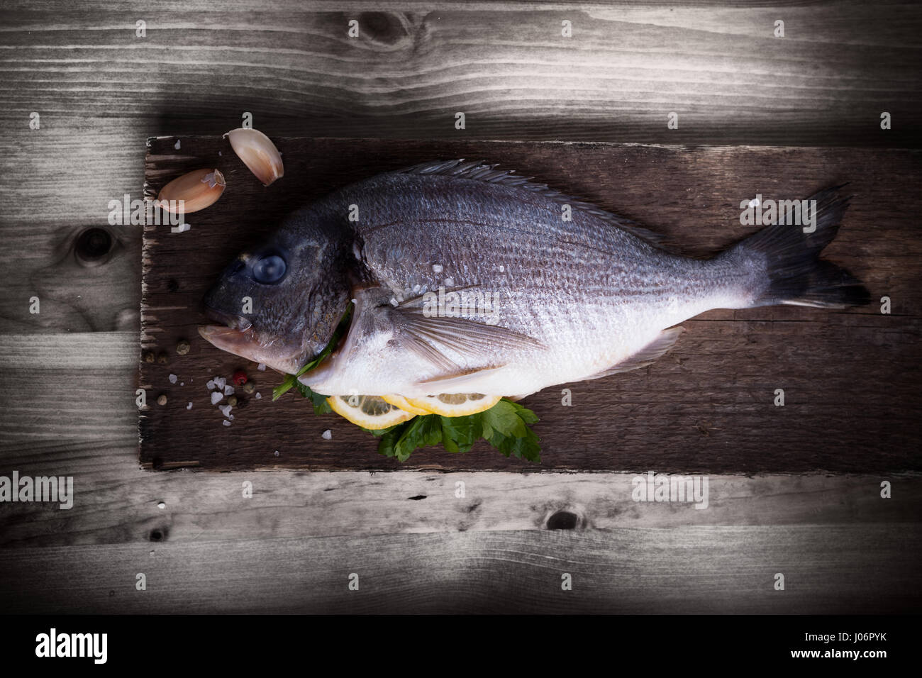 Sea Bream fish Dorade Stock Photo Alamy