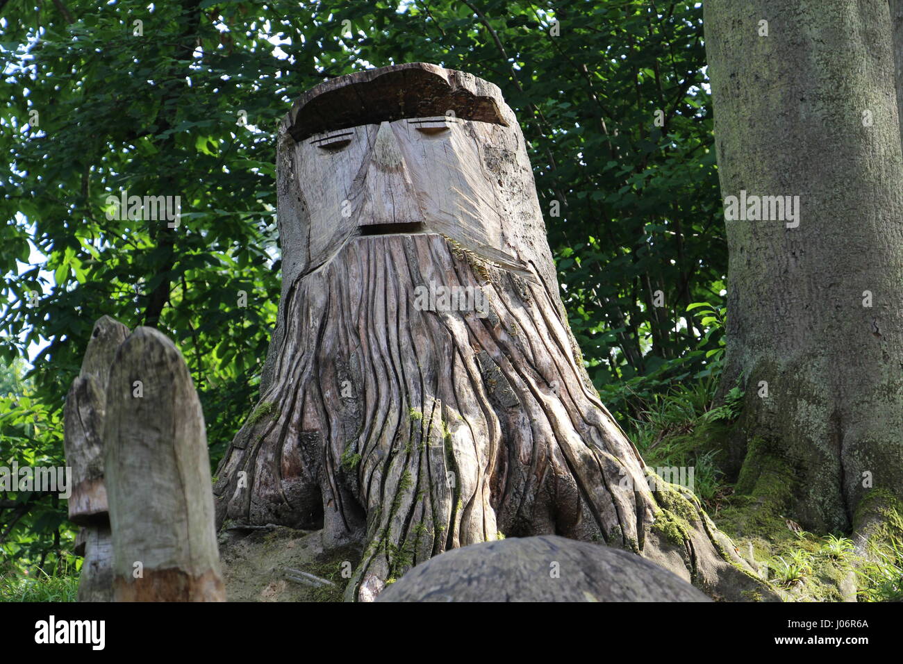 Fancy tree trunk in Park Solvay (Brussels, Belgium) Stock Photo