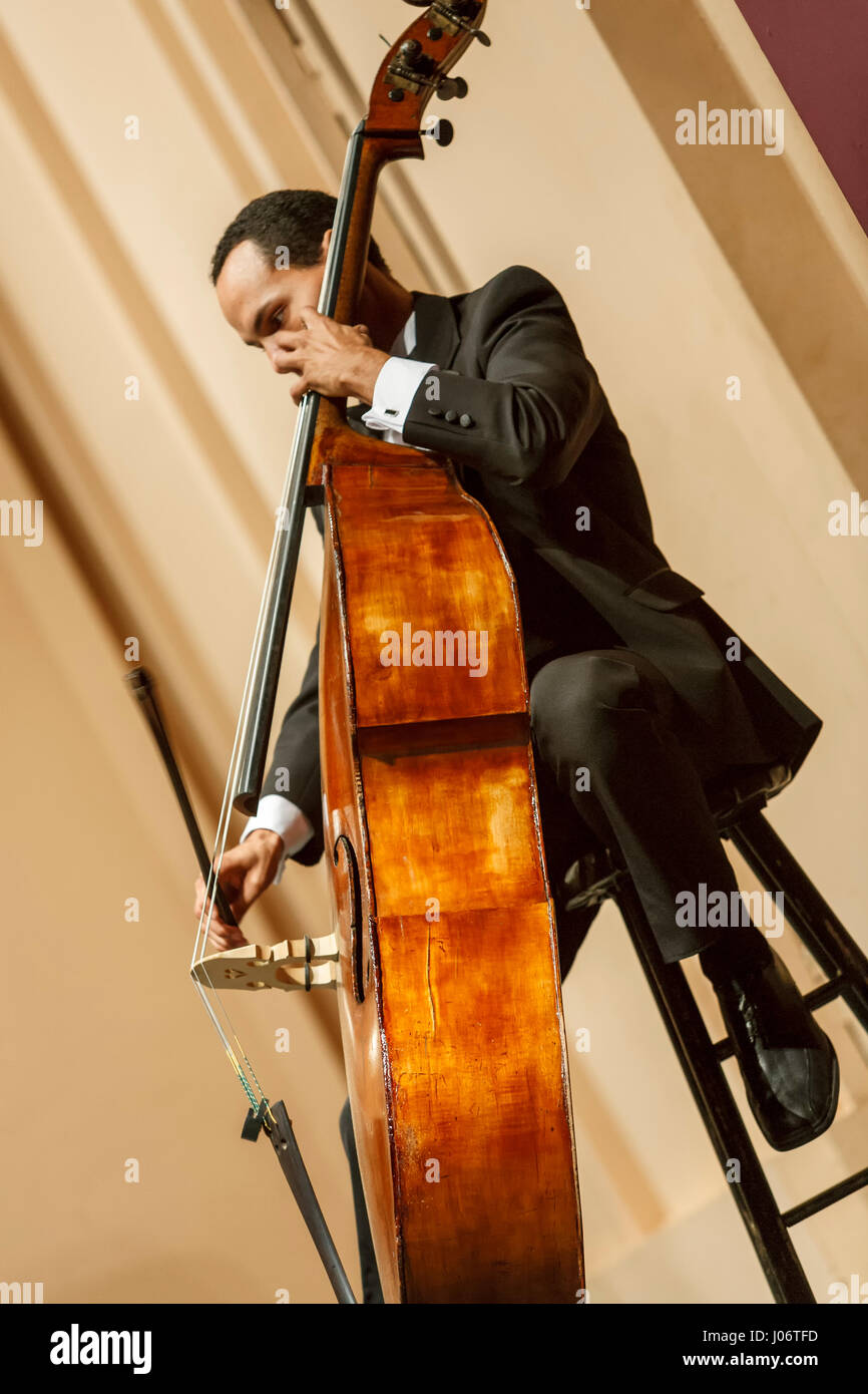 Bass player, Puerto Rico Symphony Orchestra, Luis A. Ferre Center of the Performing Arts (Bellas Artes), San Juan, Puerto Rico Stock Photo