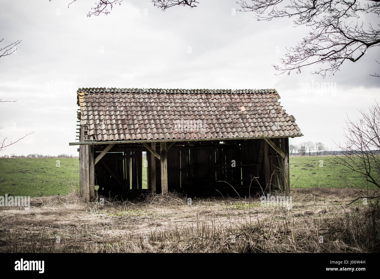 isolated cottage in the middle of a field Stock Photo