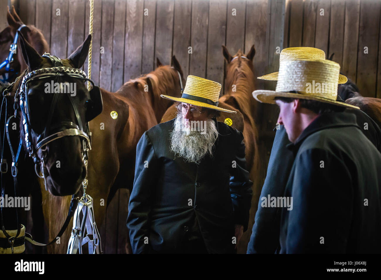 Lancaster county, PA annual fire company mud sale and auction benefit. Pa mud saleMud sales