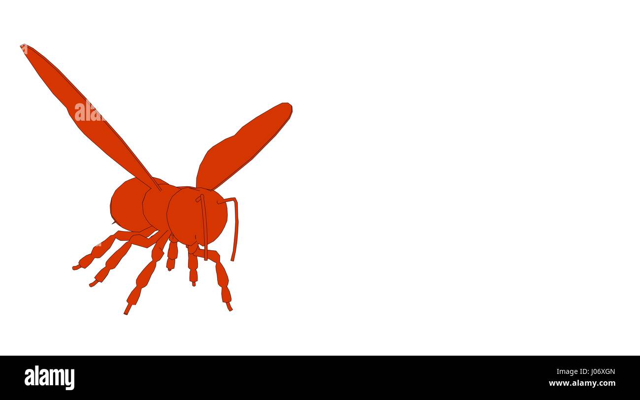 outlined bee isolated on white 3d rendering Stock Photo - Alamy