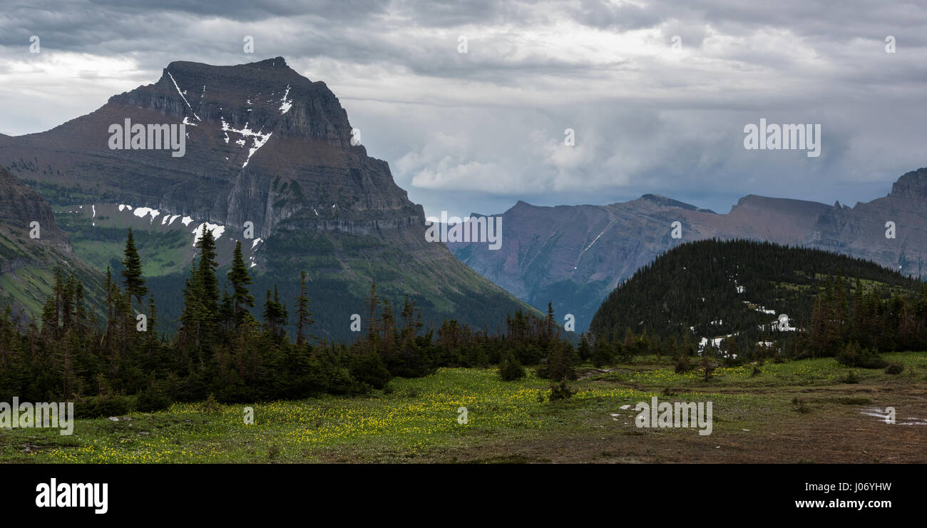 Continental Divide Trail leading towards mountain, Hidden Lake Nature