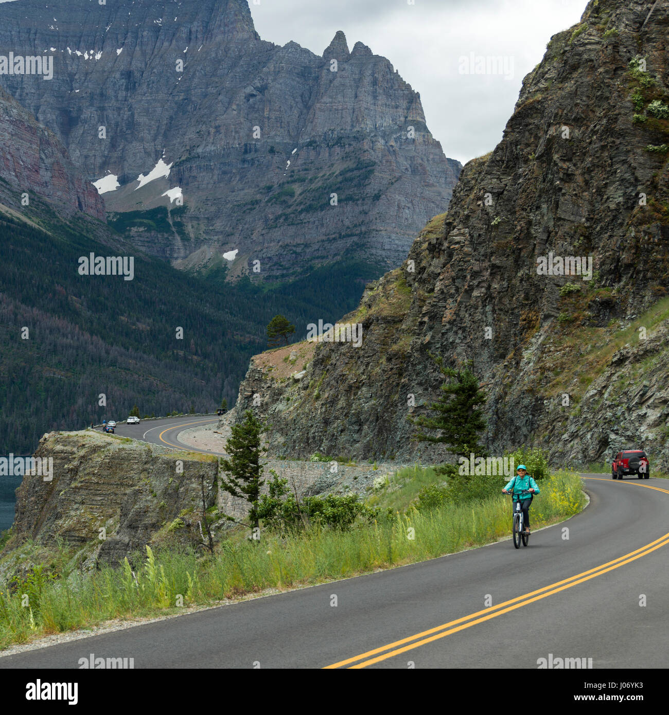 fiamma pro c bike rack for sale