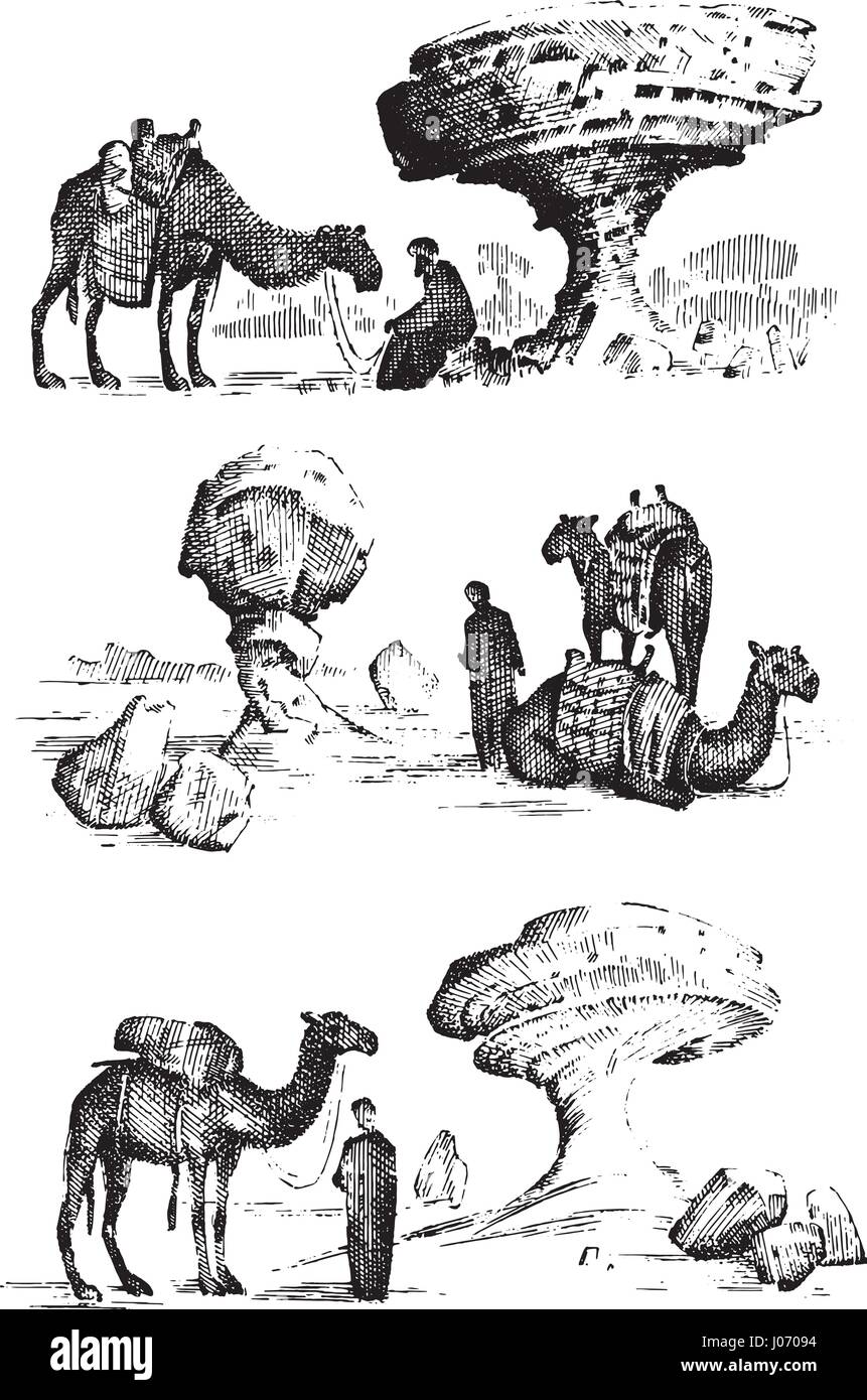 Найди верблюда на лице человека. Где верблюд ответ. Найди верблюда на лице в хорошем качестве. Где верблюд ответ. Владимир иванович верблюд.