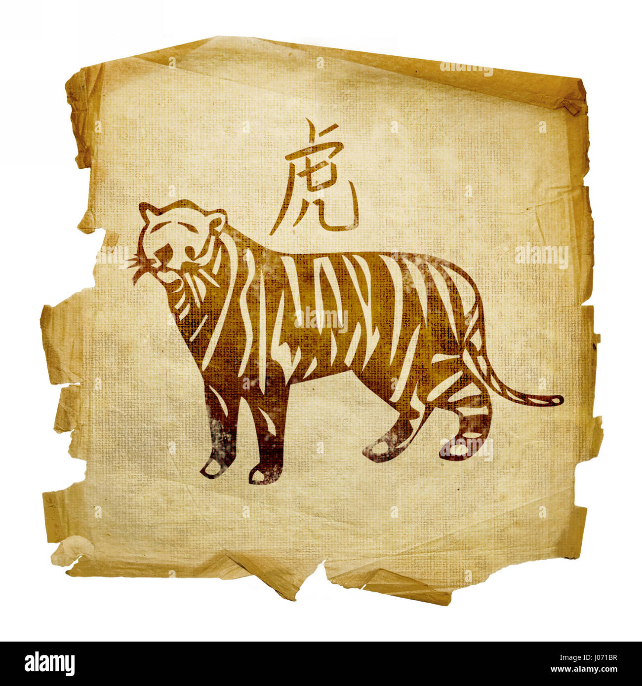 Stock Art Drawing of a White Bengal Tiger - inkart