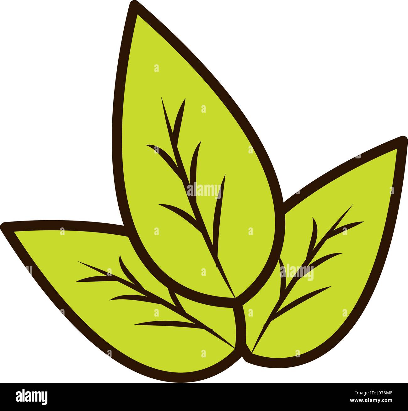 green leaves eco health food Stock Vector Image & Art - Alamy