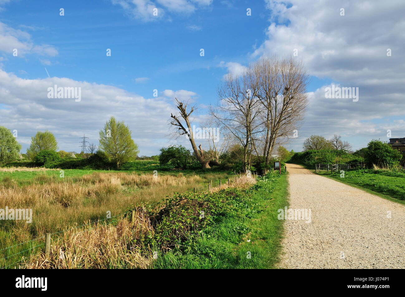 Path on the edge of Walthamstow Marshes, North East London UK Stock Photo