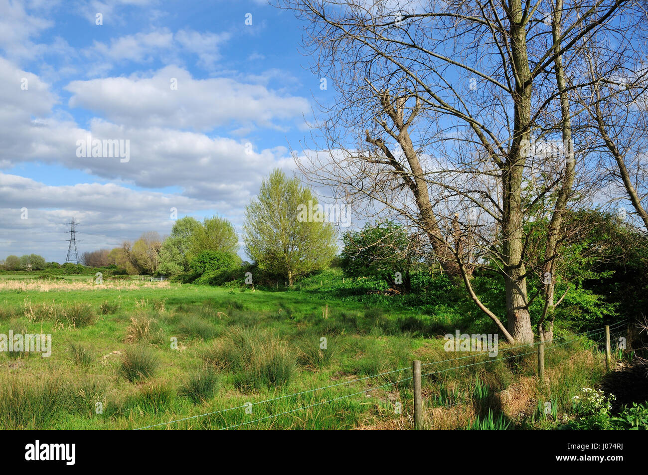 Walthamstow Marshes in springtime, North East London, UK Stock Photo