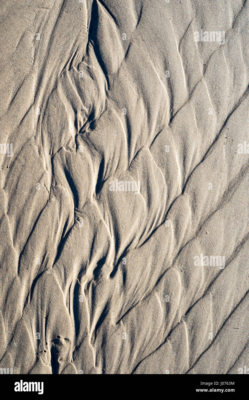 A background texture of unrefined, damp and grainy natural golden sand ...