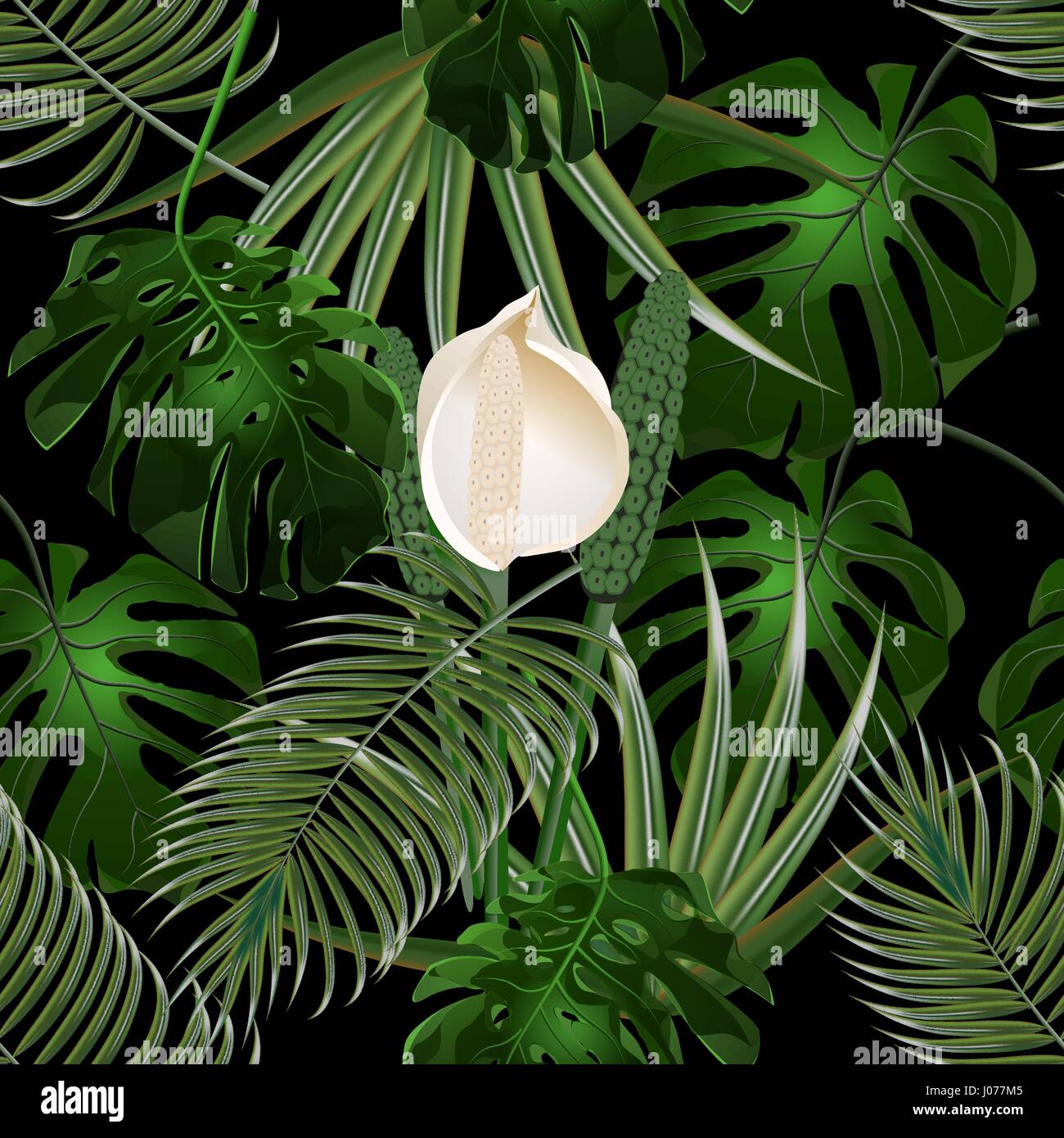 Jungle. Thickets of tropical palm leaves. Flower and monster leaves ...