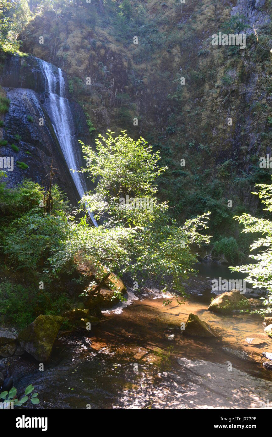 Maples and waterfall hi-res stock photography and images - Alamy