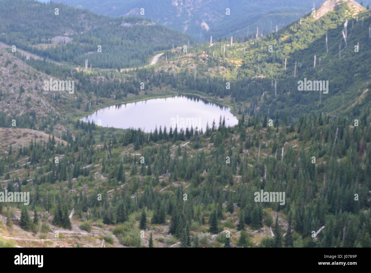 small wooded basin lake near mt Saint Helens Stock Photo Alamy