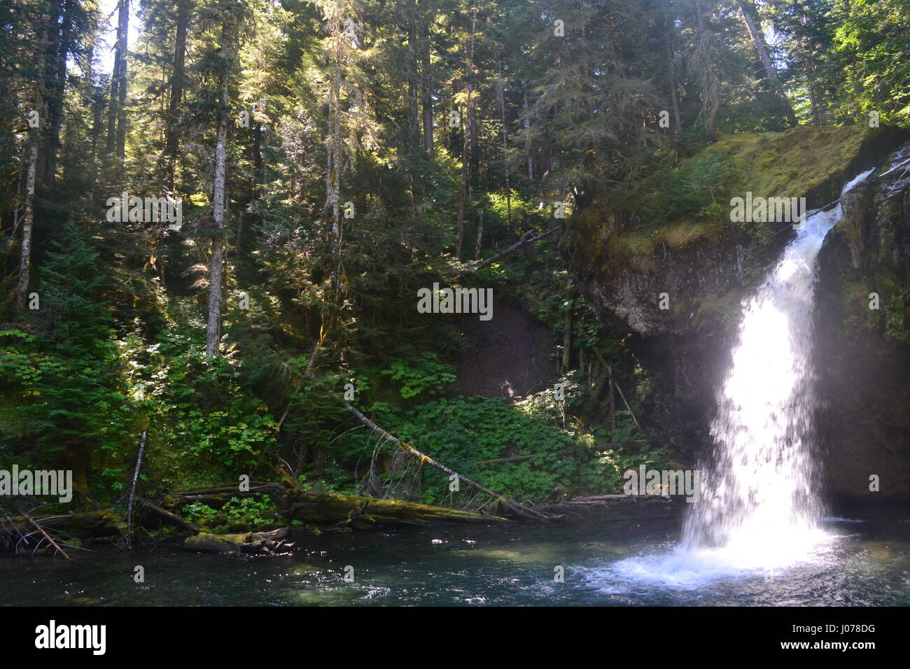 Gifford pinchot national forest hires stock photography and images Alamy