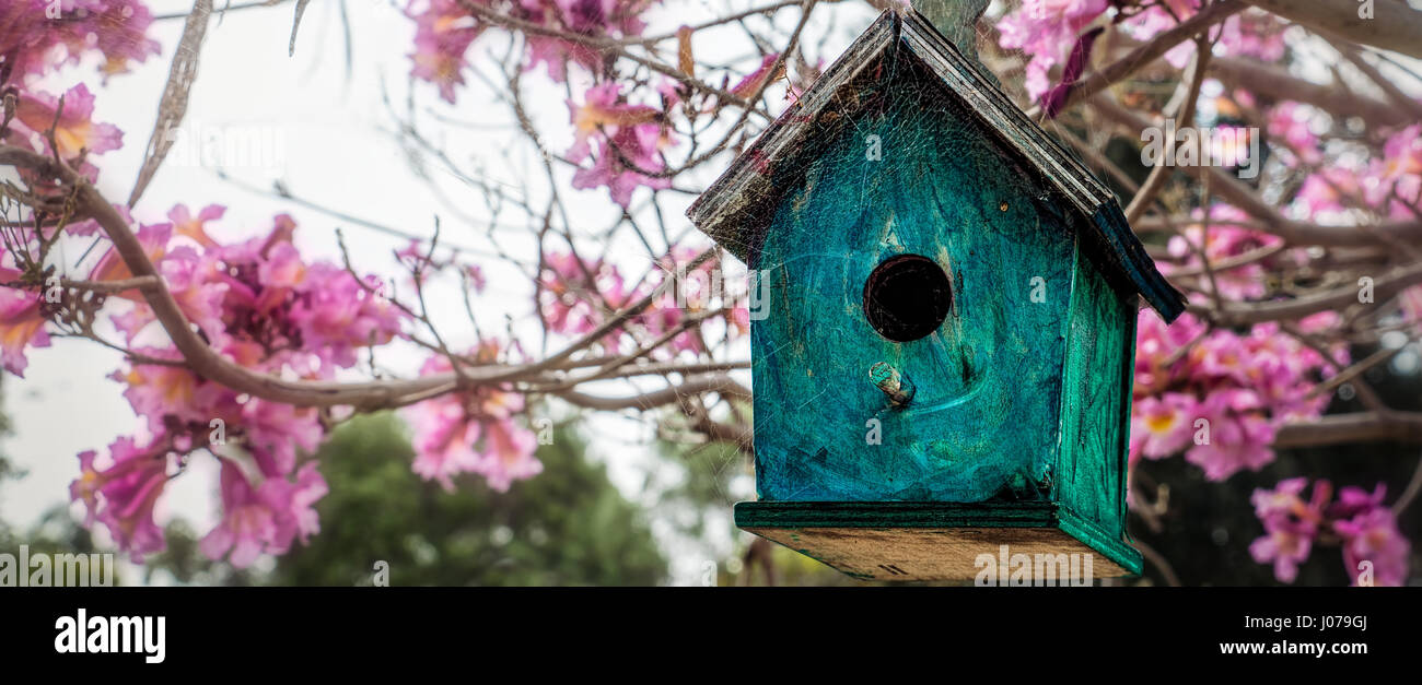A birdhouse in a front yard in Coronado, CA. Stock Photo