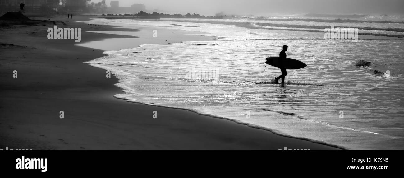 A morning surfer heads out to the ocean in Coronado, CA. Stock Photo