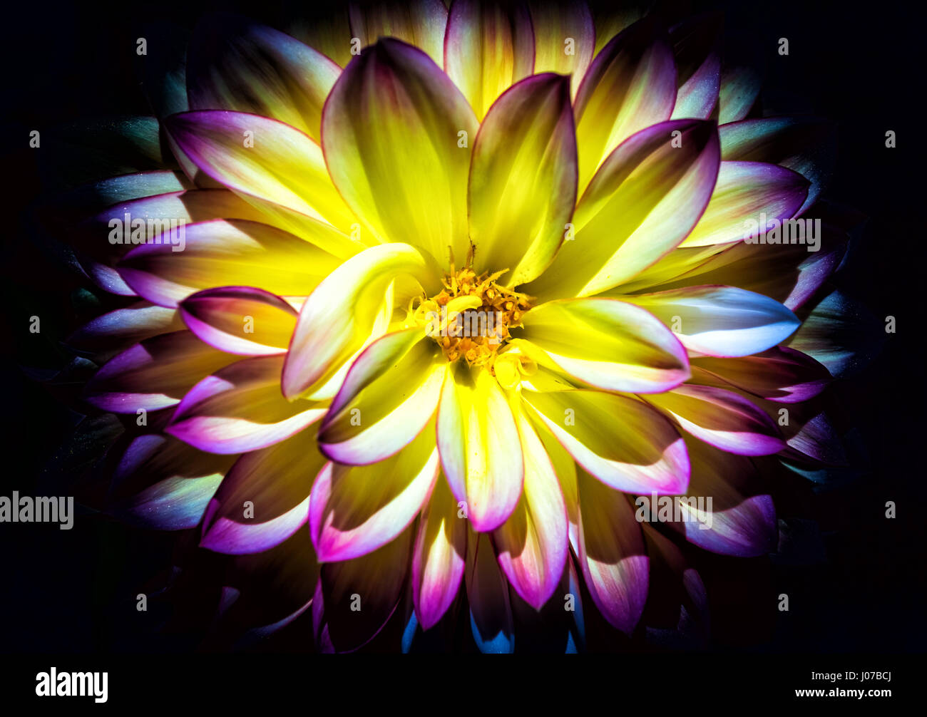 Blackbackground hi-res stock photography and images - Alamy