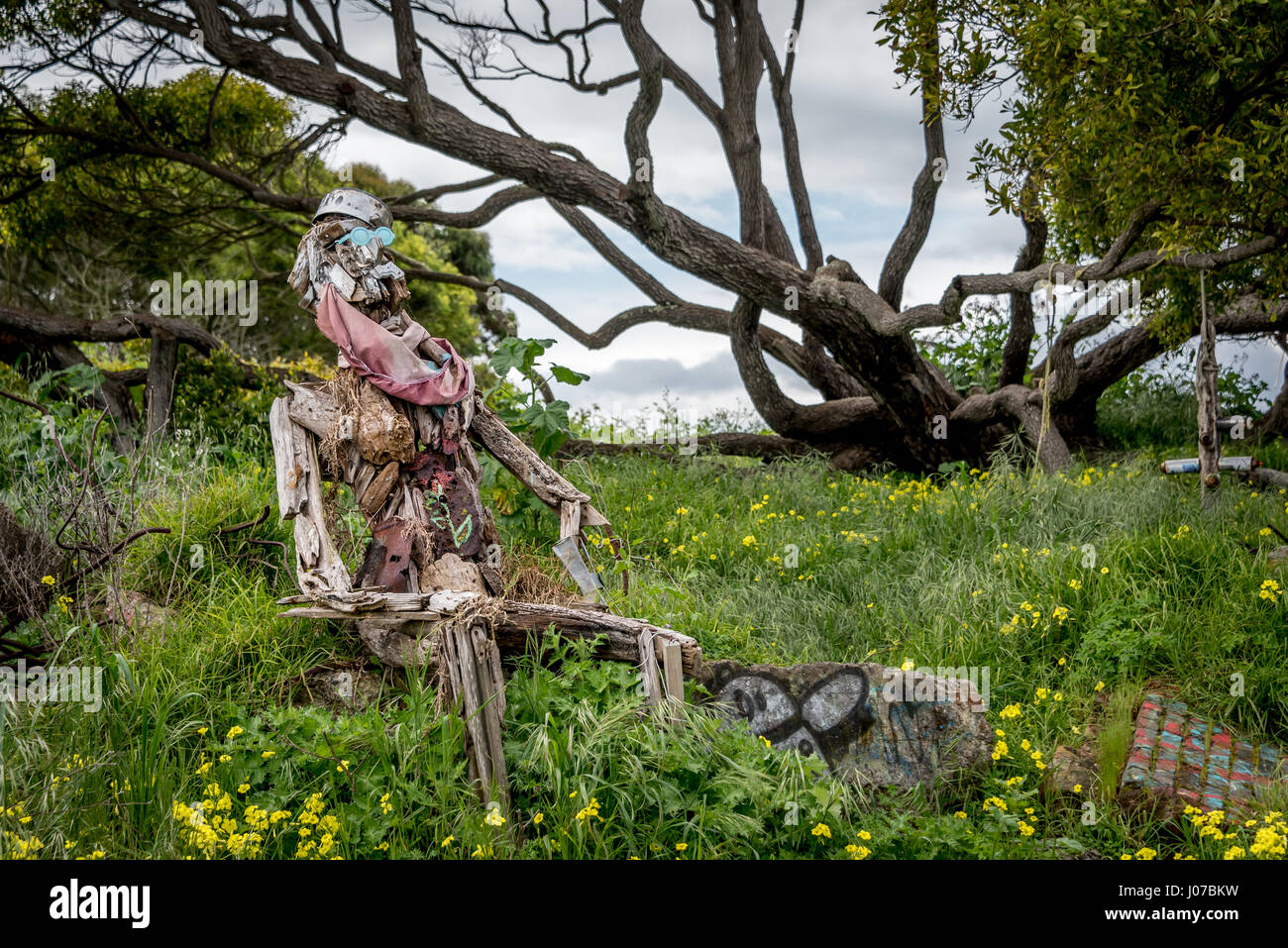 A driftwood sculpture of a man seated beneath a tree with grass and wildflowers surrounding him at Albany Bulb on San Francisco Bay. Stock Photo