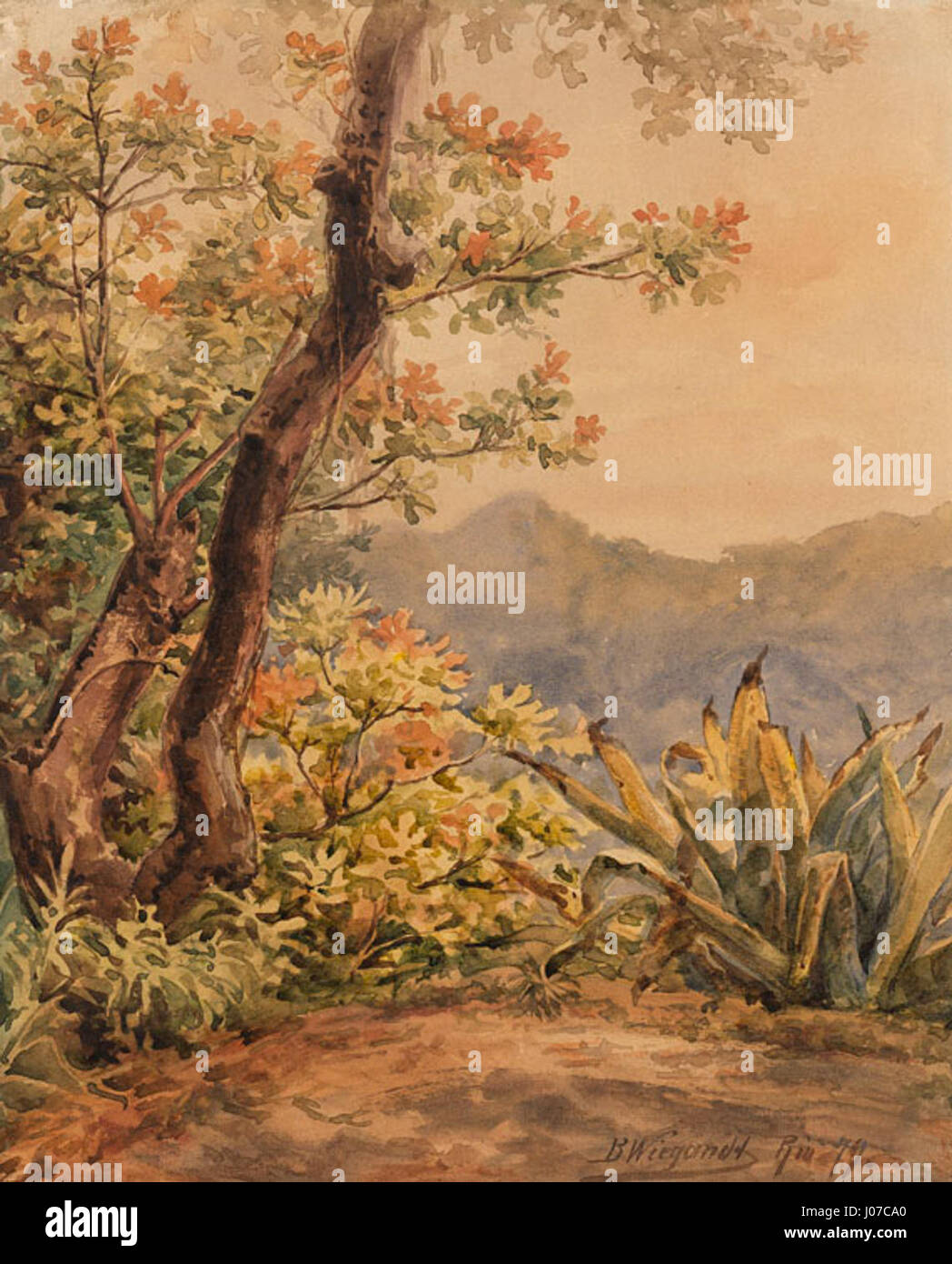 Bernhard Wiegandt, Brasilianische Landschaft mit Agave, Aquarell über Bleistift, 1879 Stock Photo