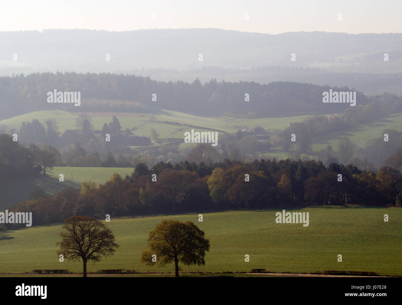 Early morning views over Newlands Corner, Surrey, England Stock Photo