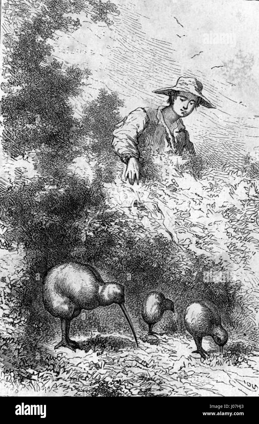 This illustration by Édouard Riou from 'The Children of Captain Grant ...